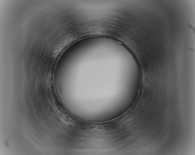 X0000103910434200809191306