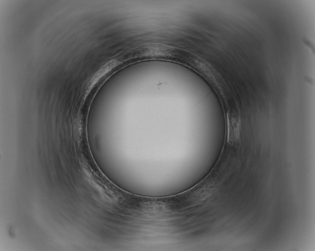 X0000103910435200809191306