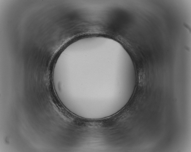 X0000103910436200809191306