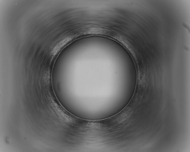 X0000103910437200809191306