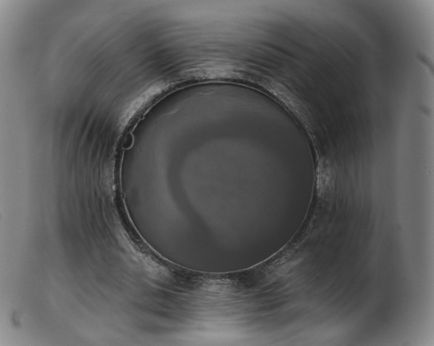 X0000103910438200809191306
