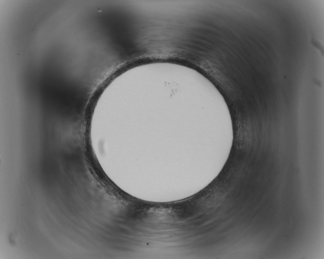 X0000103910440200809191306