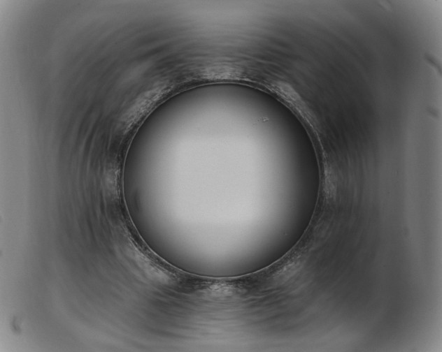 X0000103910441200809191306
