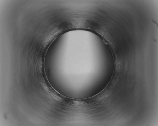 X0000103910442200809191306