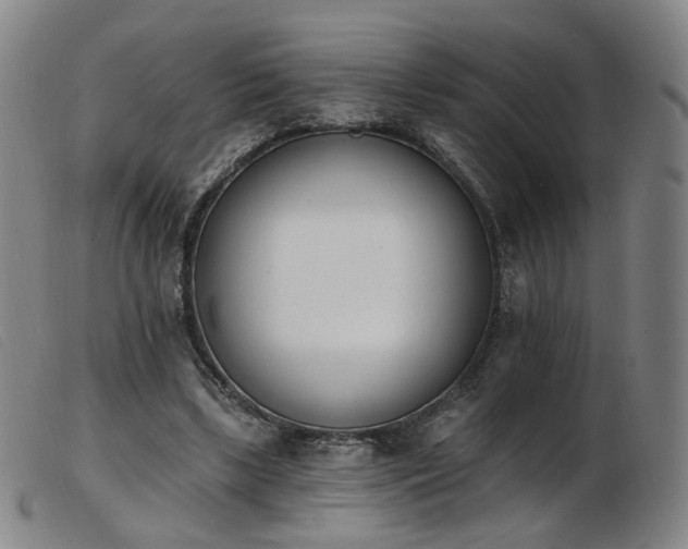 X0000103910443200809191306