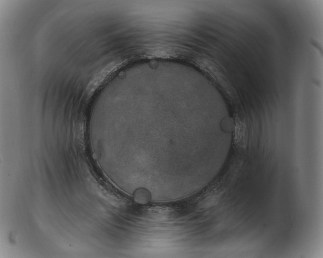 X0000103910444200809191306