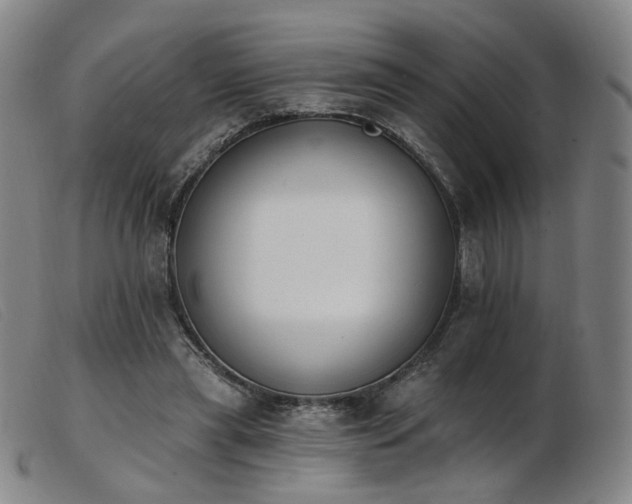 X0000103910445200809191306