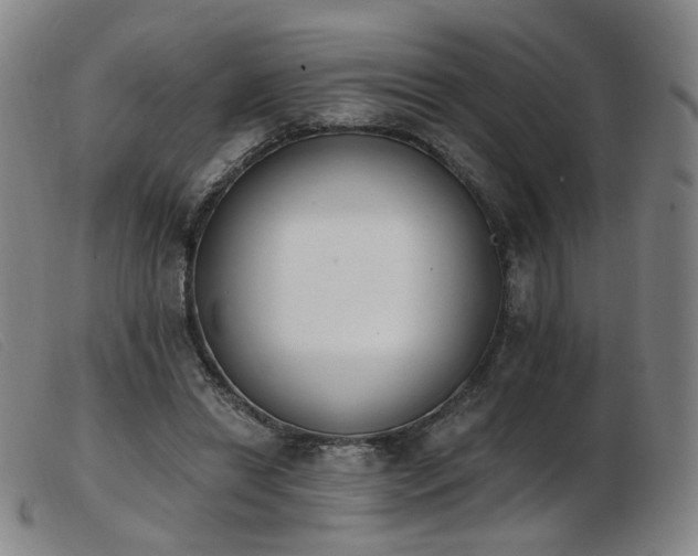 X0000103910446200809191306