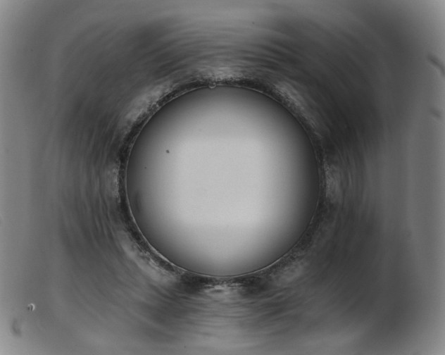 X0000103910447200809191306