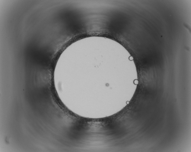 X0000103910448200809191306