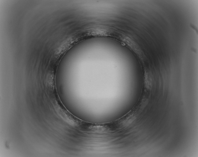 X0000103910449200809191306