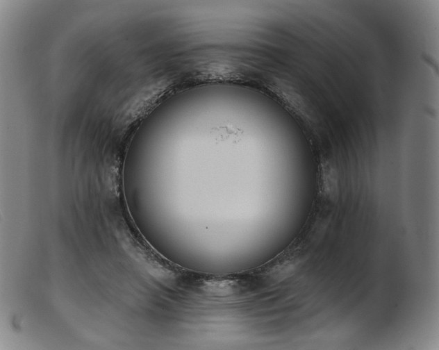 X0000103910450200809191306