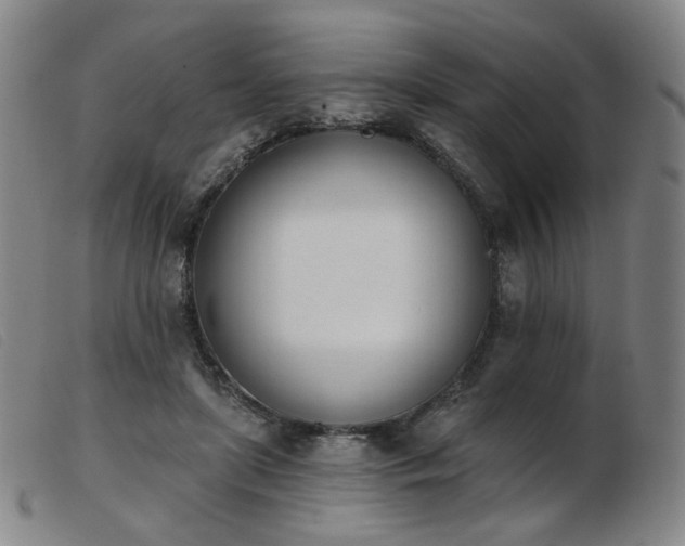 X0000103910451200809191306