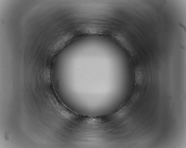 X0000103910453200809191306