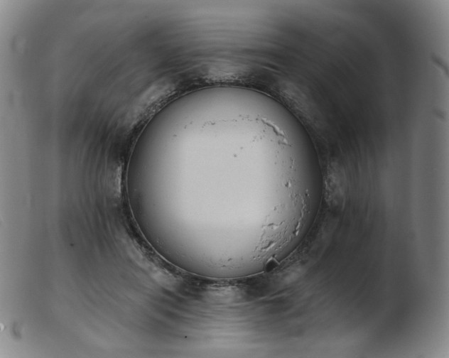 X0000103910454200809191306