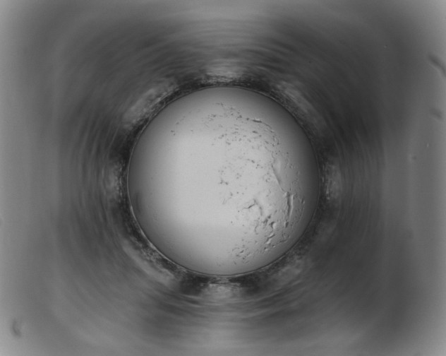 X0000103910455200809191306