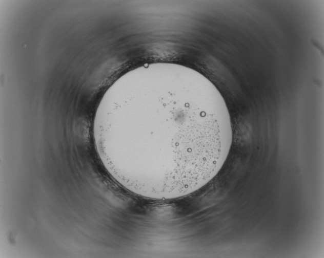 X0000103910456200809191306
