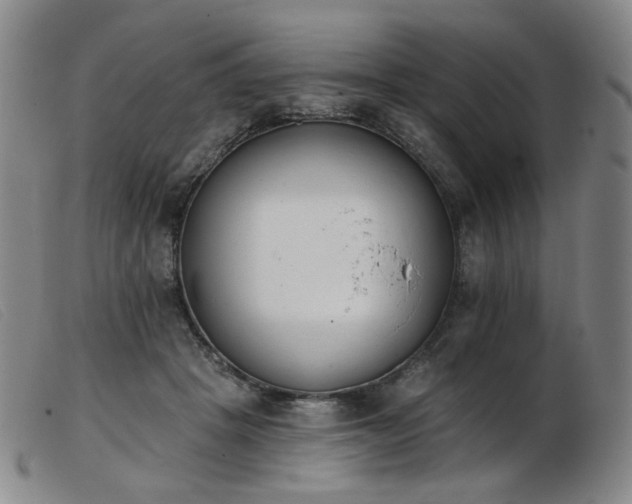 X0000103910457200809191306