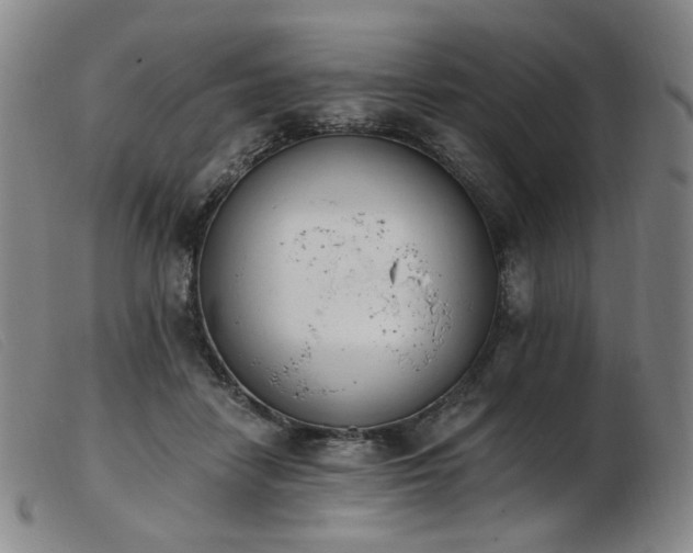 X0000103910458200809191306