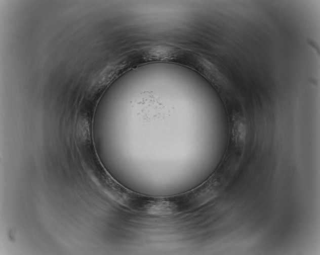 X0000103910459200809191306