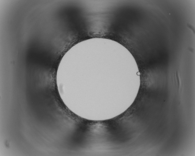 X0000103910460200809191306