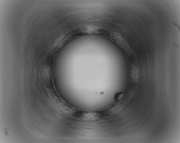 X0000103910461200809191306