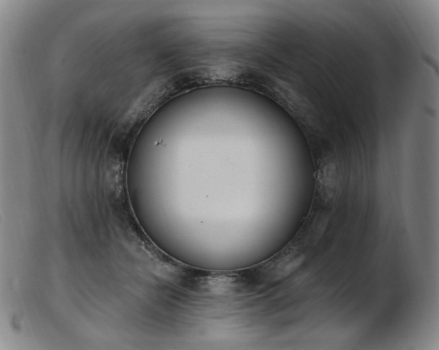 X0000103910462200809191306
