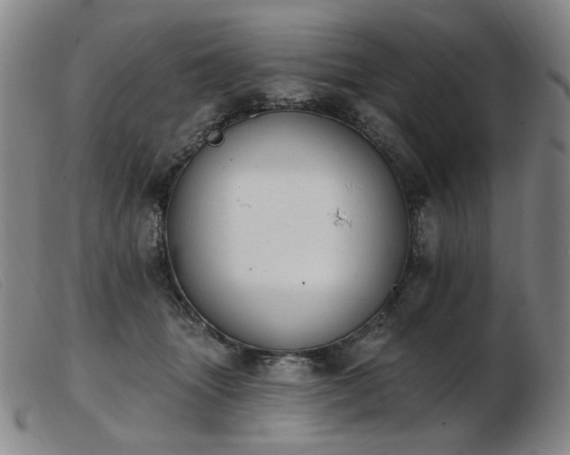 X0000103910463200809191306