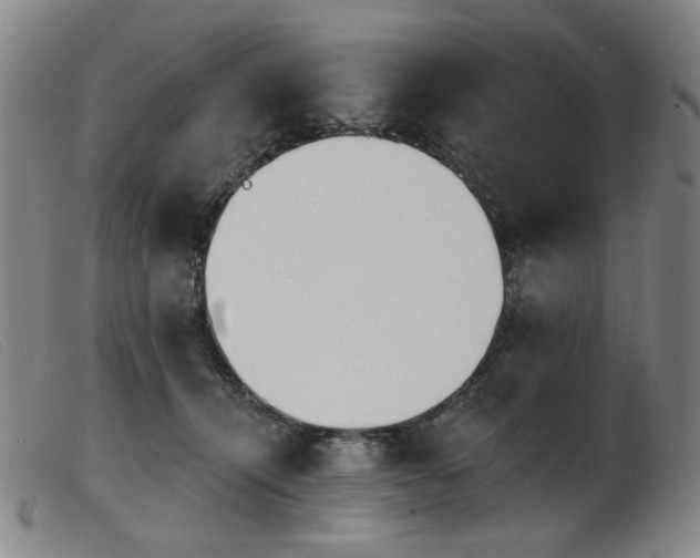 X0000103910464200809191306
