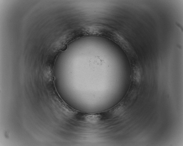 X0000103910465200809191306