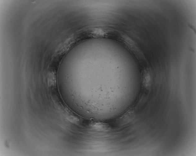 X0000103910467200809191306