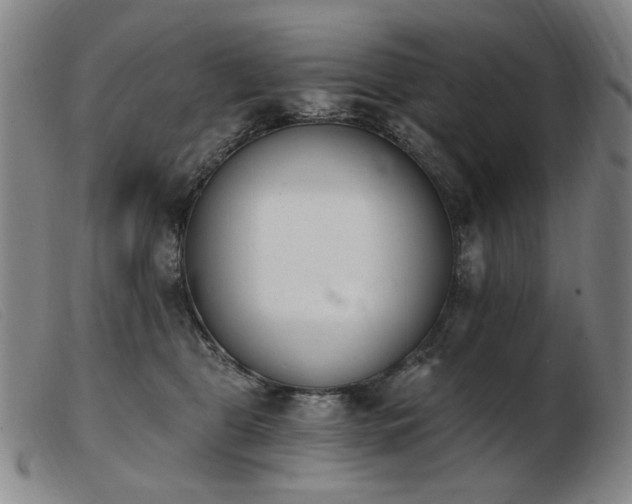 X0000103910469200809191306