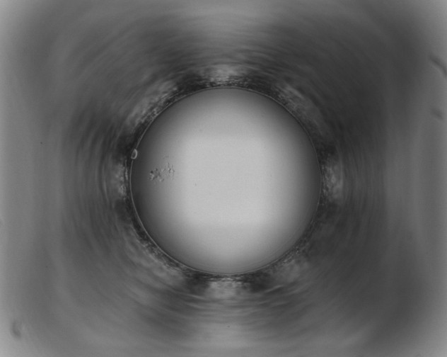 X0000103910470200809191306