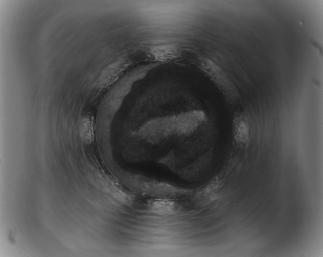 X0000103910471200809191306