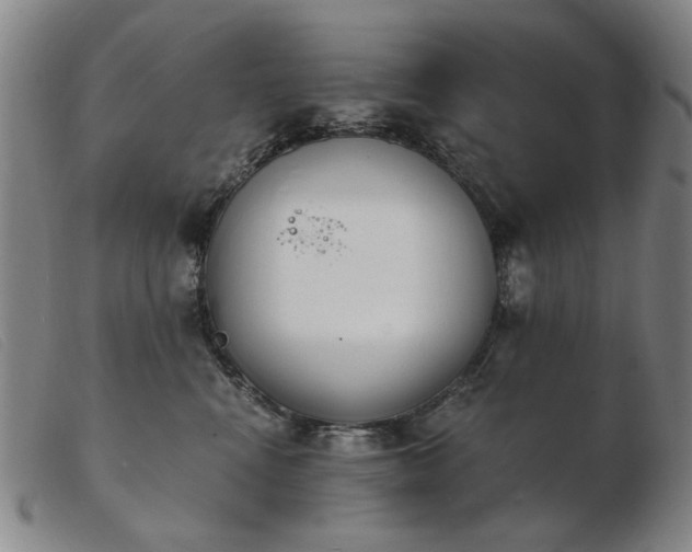 X0000103910472200809191306