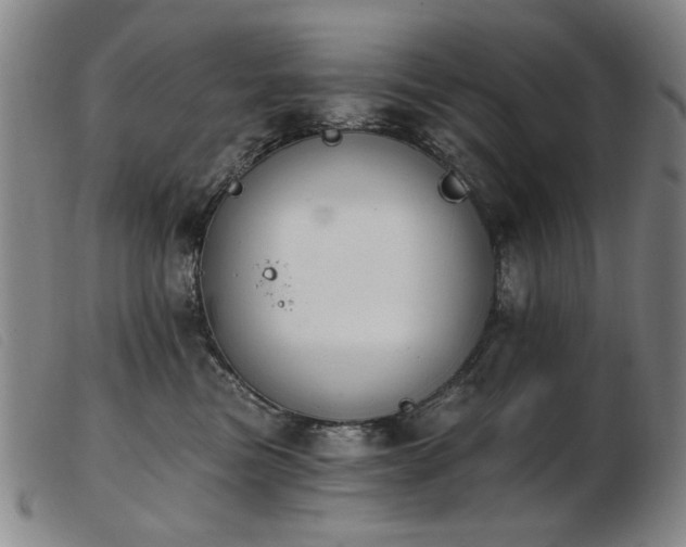 X0000103910473200809191306