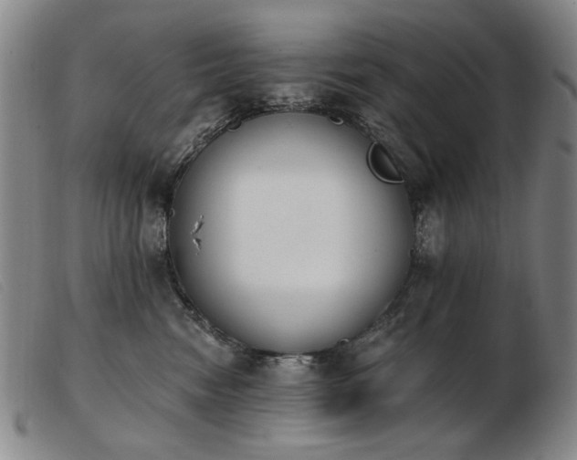 X0000103910474200809191306