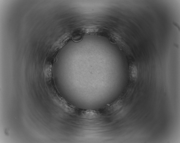 X0000103910475200809191306