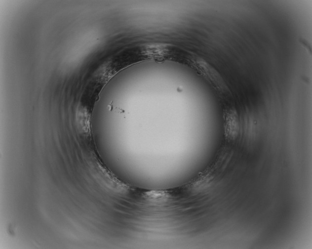 X0000103910477200809191306