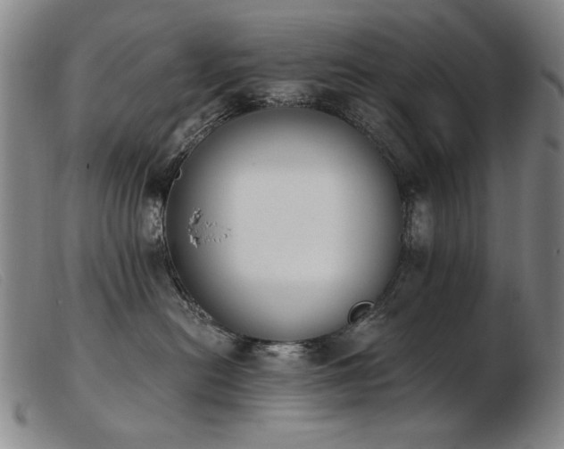 X0000103910478200809191306