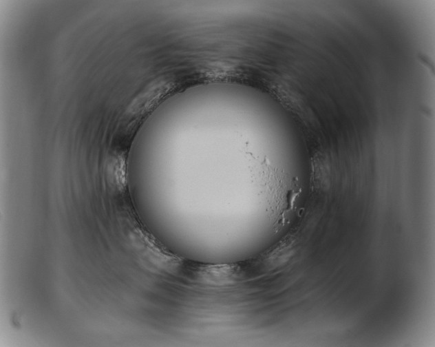X0000103910479200809191306