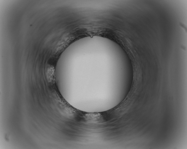 X0000103910480200809191306