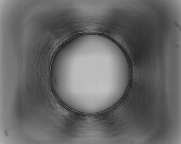 X0000103910481200809191305