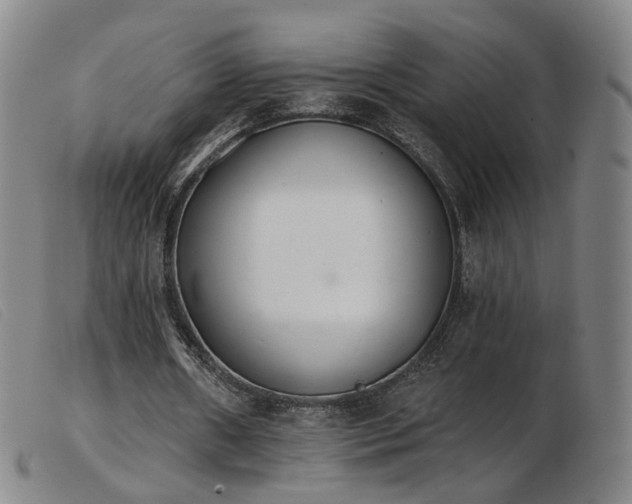 X0000103910482200809191305