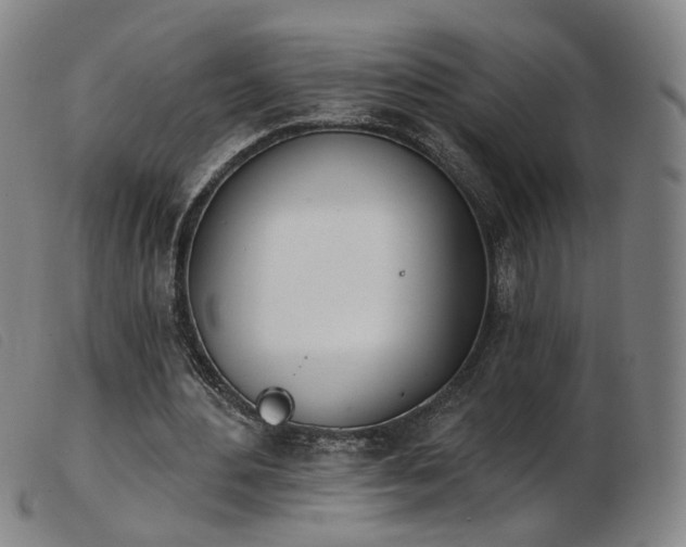 X0000103910484200809191305
