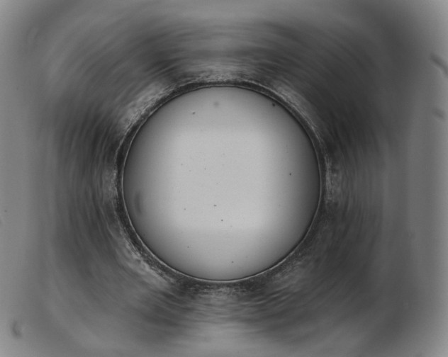 X0000103910485200809191305