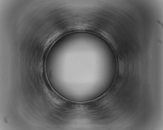 X0000103910486200809191305