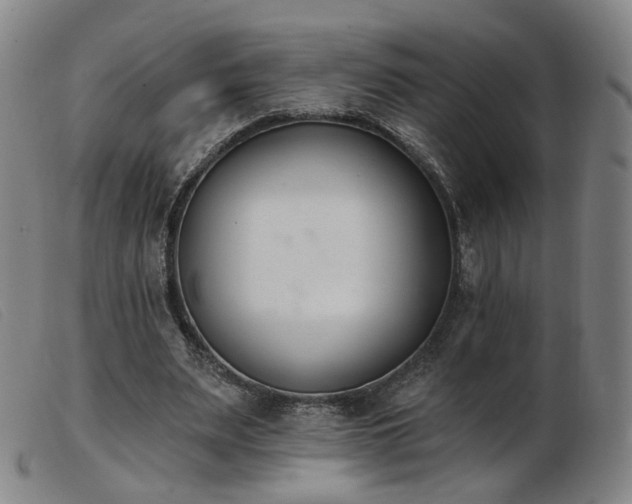 X0000103910487200809191305