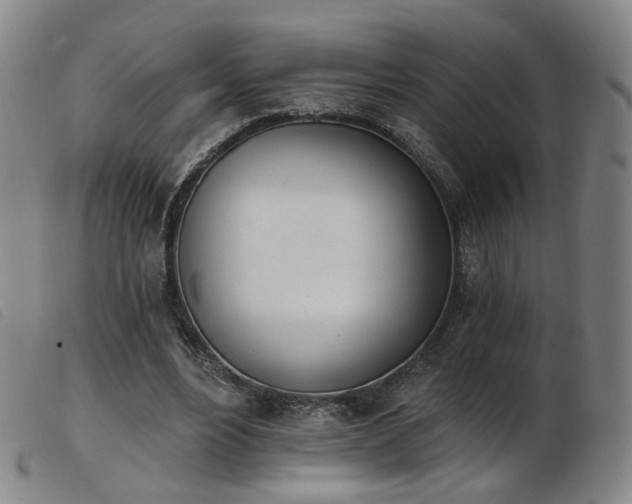 X0000103910488200809191305