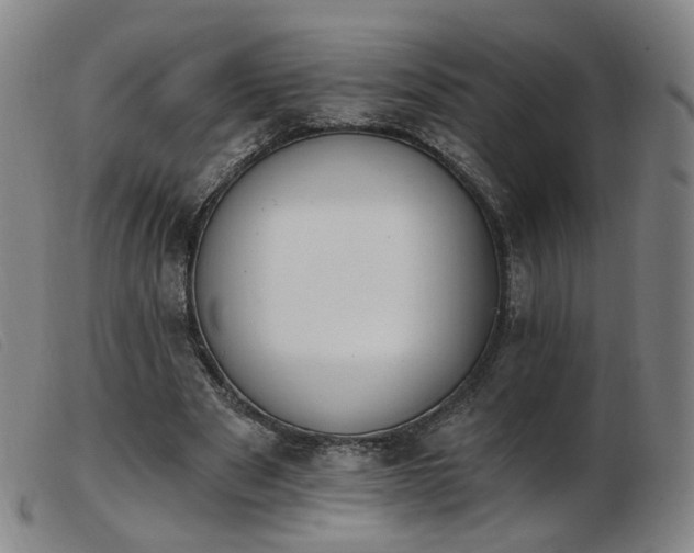 X0000103910489200809191305